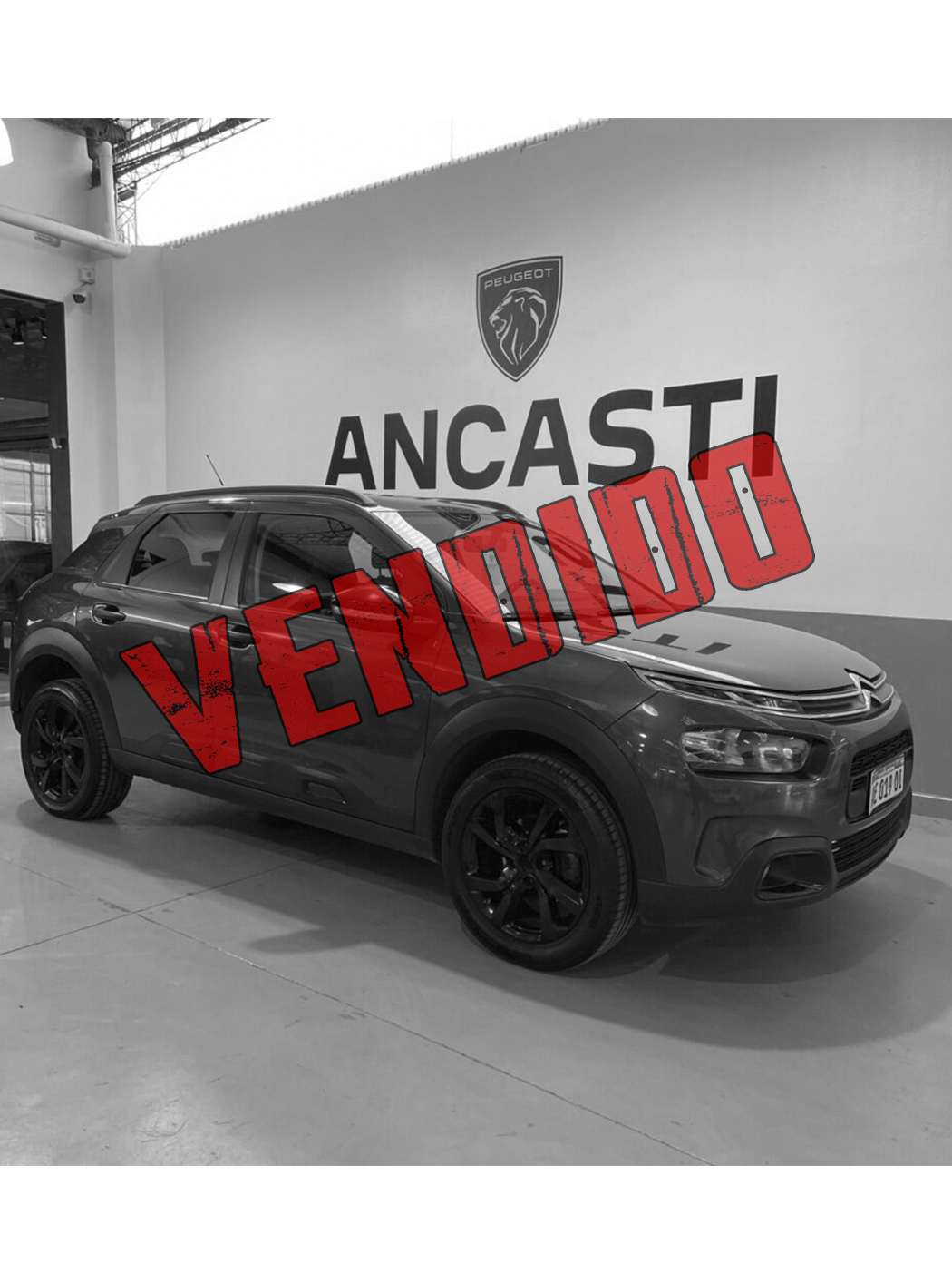 C4 CACTUS VTI 115 FEEL AM20 (VENDIDO)