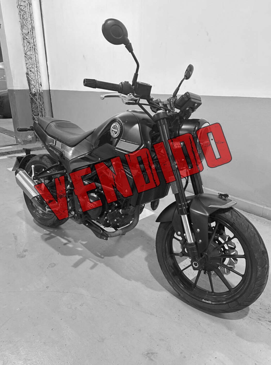 LEONCINO 250 (VENDIDO)