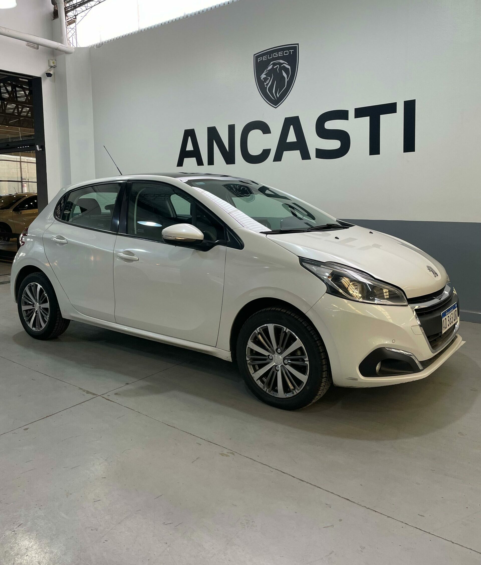 208 FELINE 1.6 (VENDIDO)