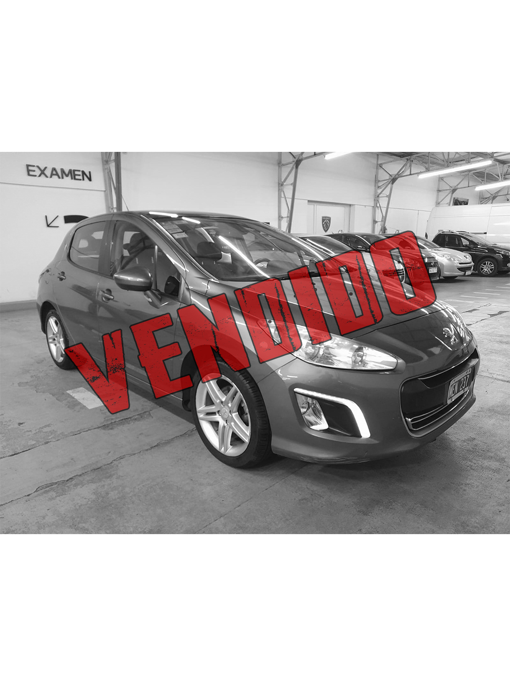 308 FELINE 2.0 N (VENDIDO)