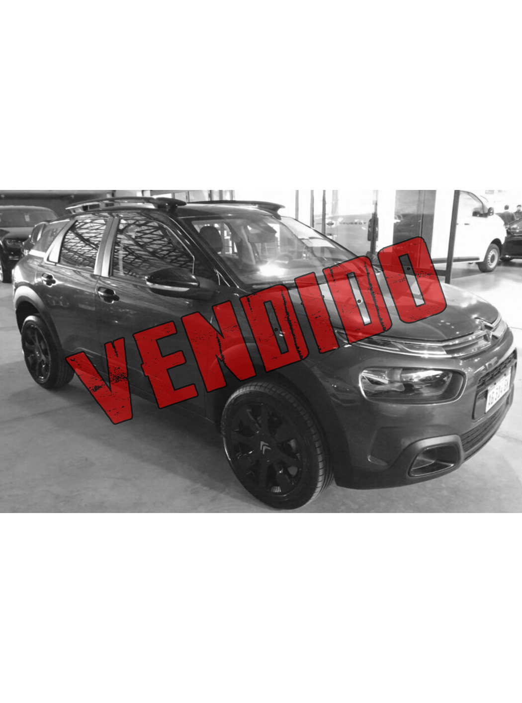 C4 CACTUS THP AT NOIR (VENDIDO)