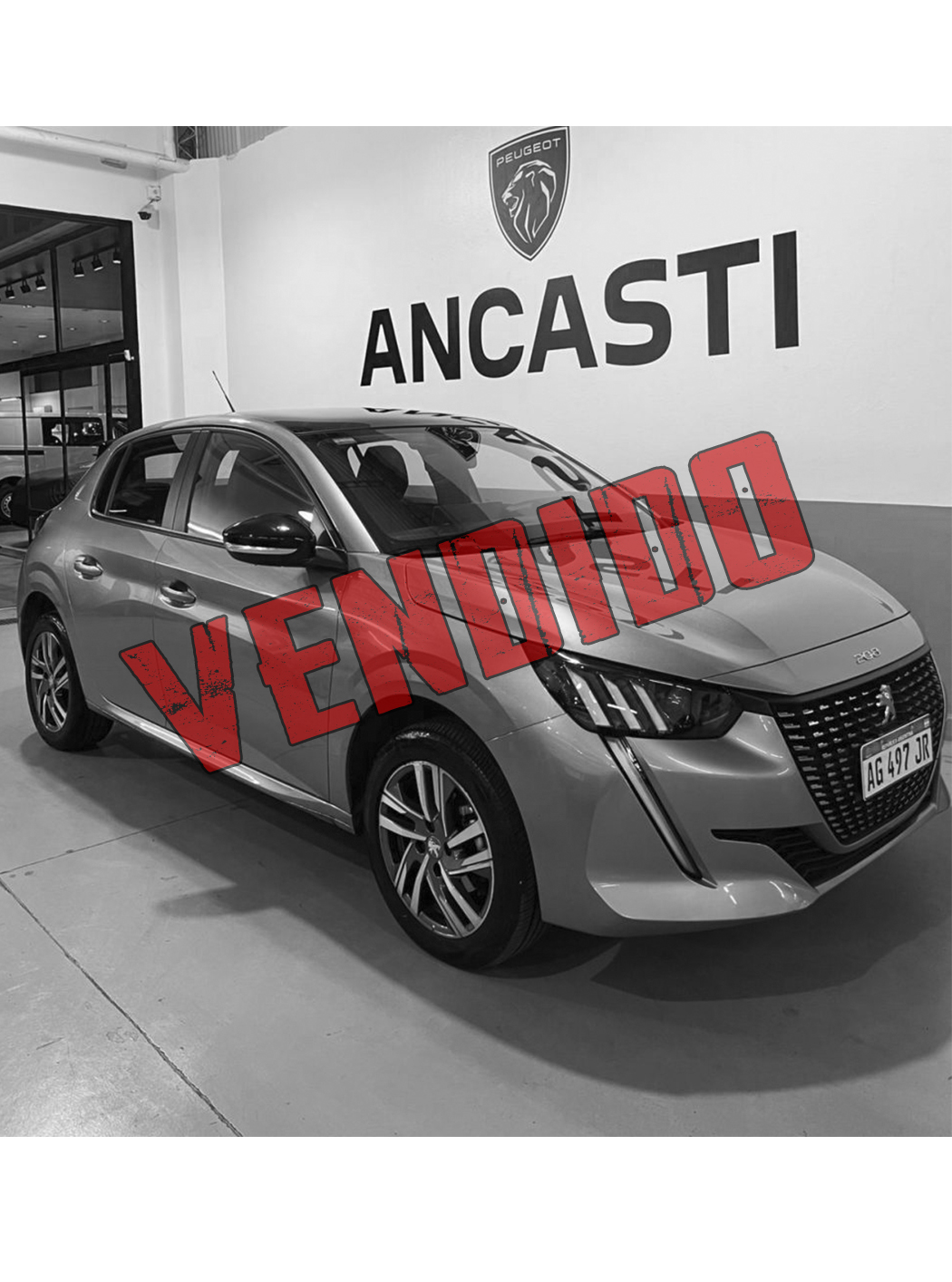 208 FELINE AT AM24 (VENDIDO)