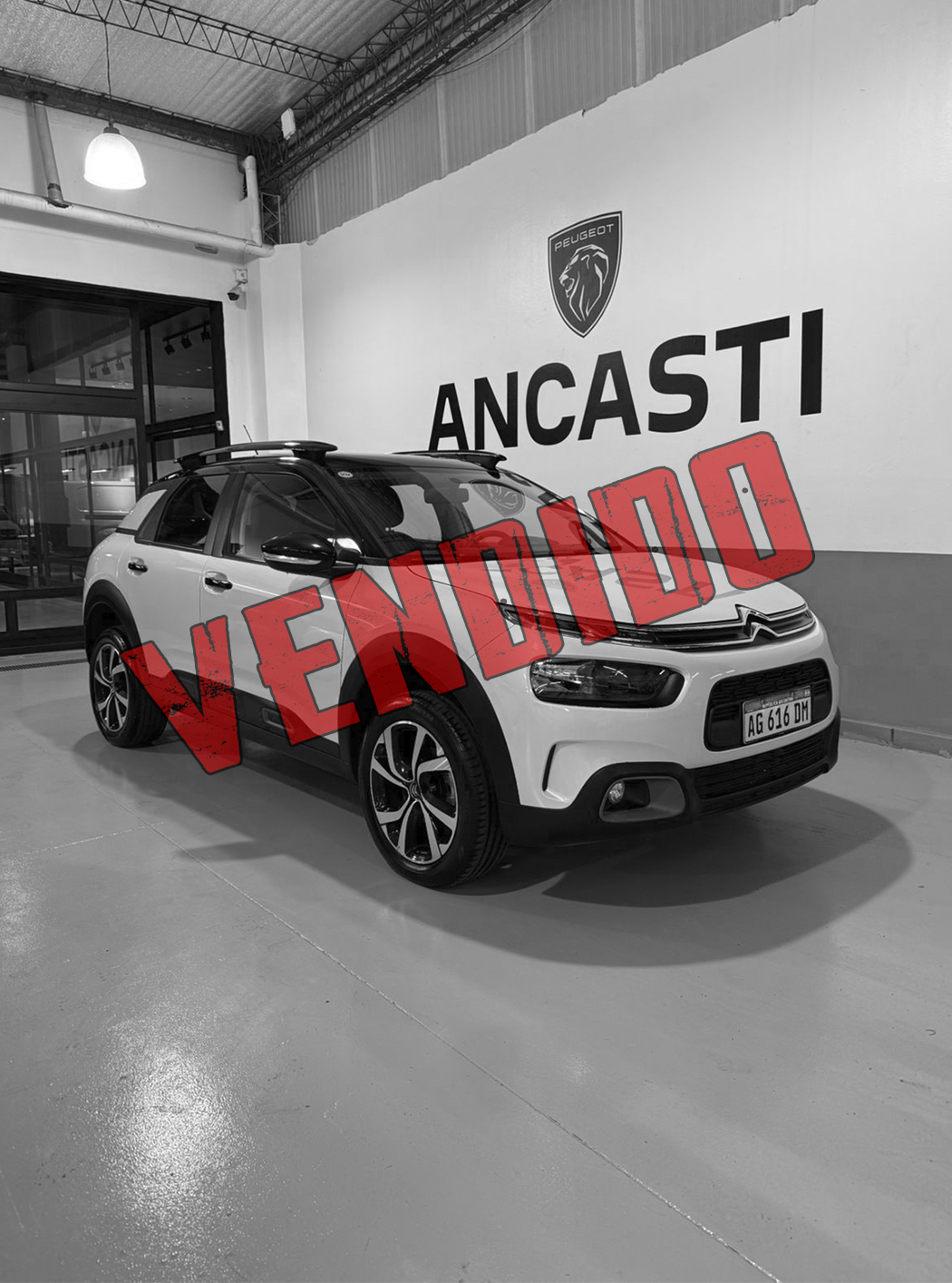 C4 CACTUS VTI AT FEEL + MY23  (VENDIDO)