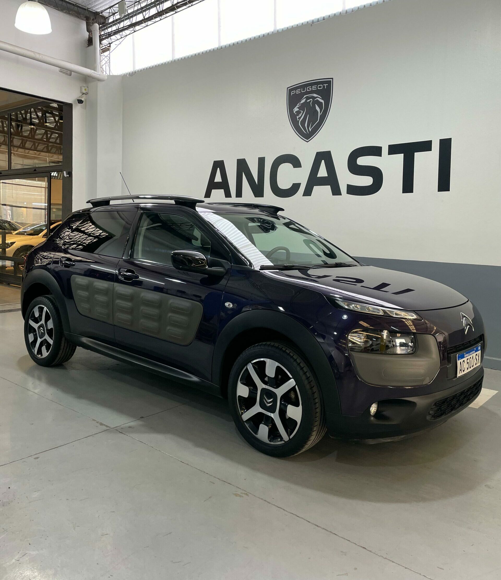 C4 CACTUS PURETECH (VENDIDO)