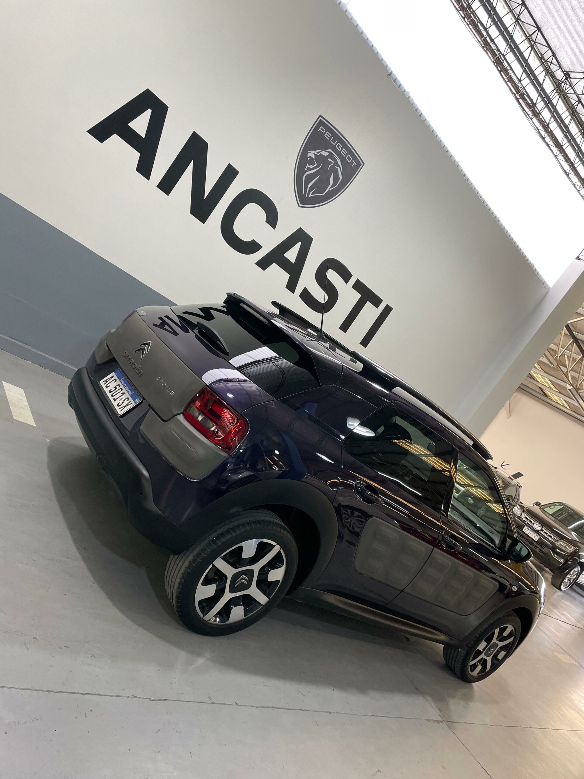 C4 CACTUS PURETECH (VENDIDO)