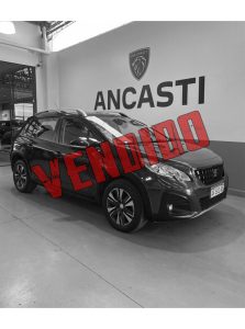 2008 FELINE 1,6 AM23 (VENDIDO)