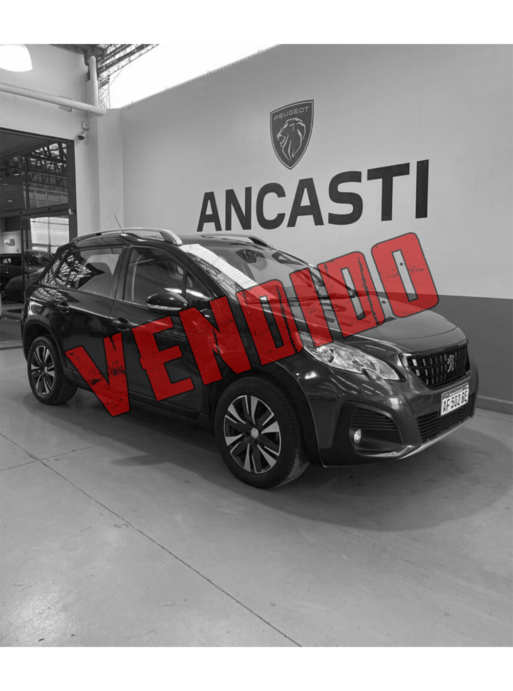 2008 FELINE 1,6 AM23 (VENDIDO)