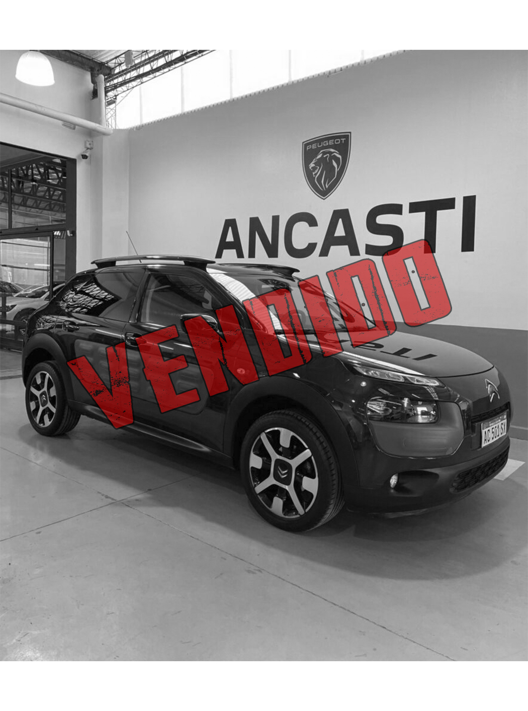 C4 CACTUS PURETECH (VENDIDO)