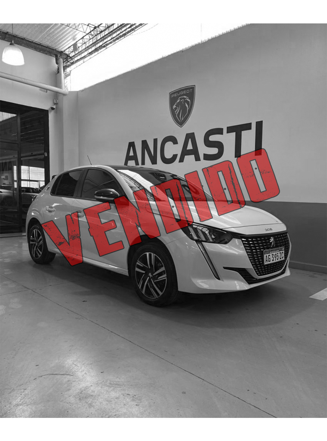 208 ROADTRIP AM24 (VENDIDO)