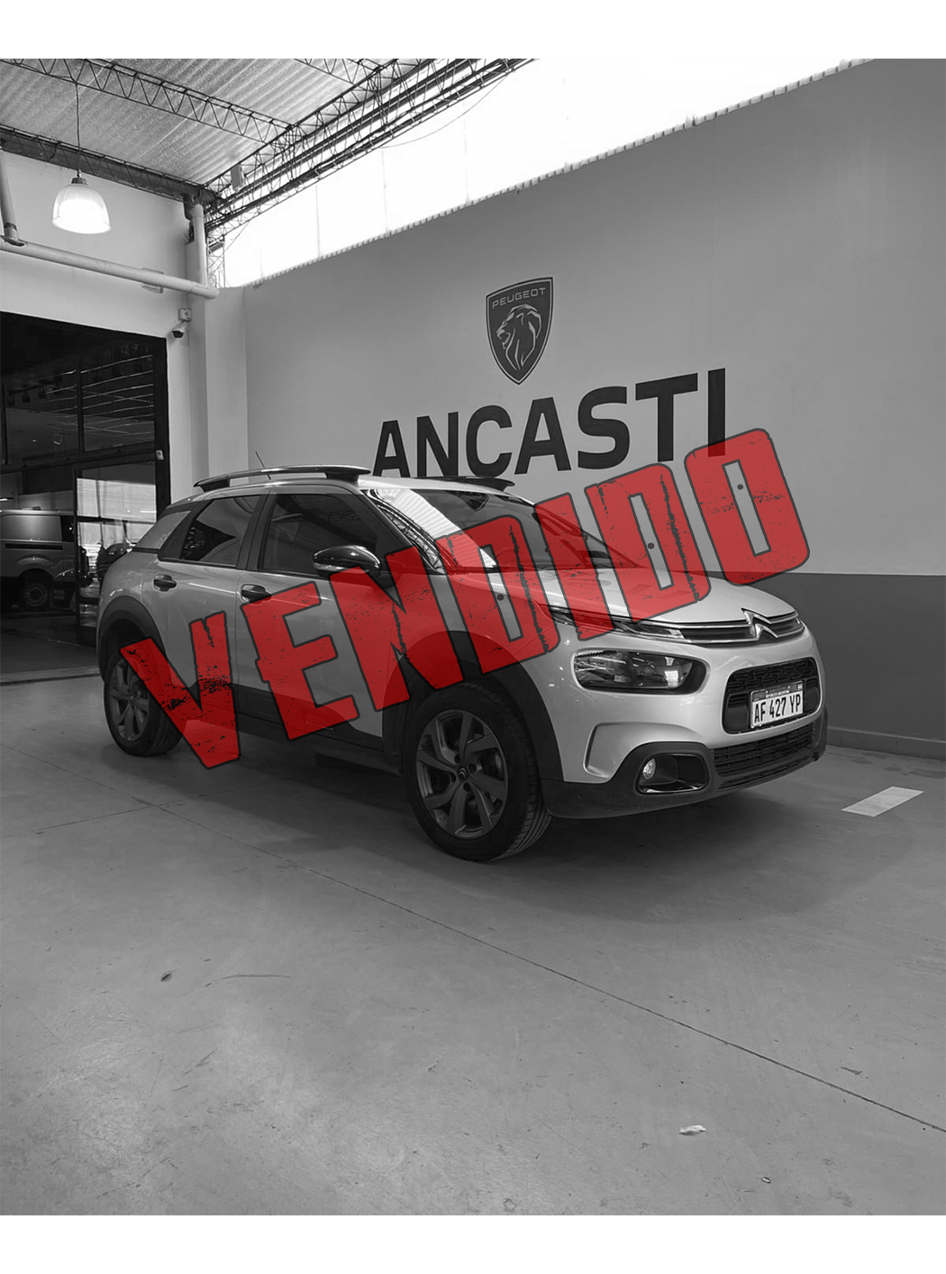 C4 CACTUS VTI 115 FEEL PACK PLUS AM22 (VENDIDO)