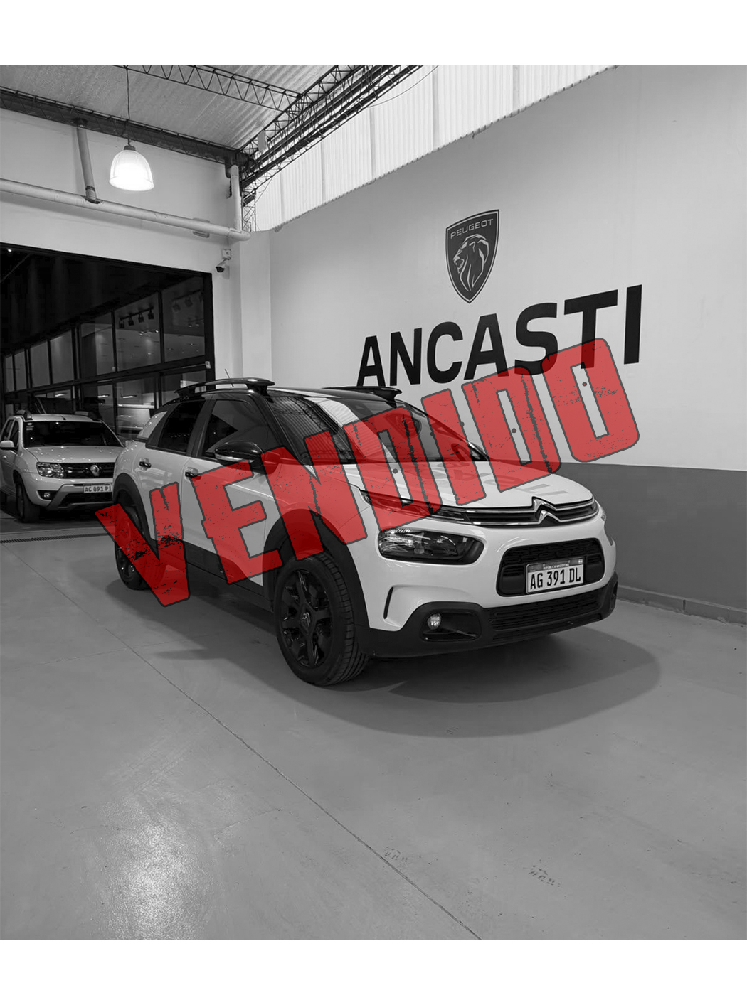 C4 CACTUS THP AT NOIR (VENDIDO)