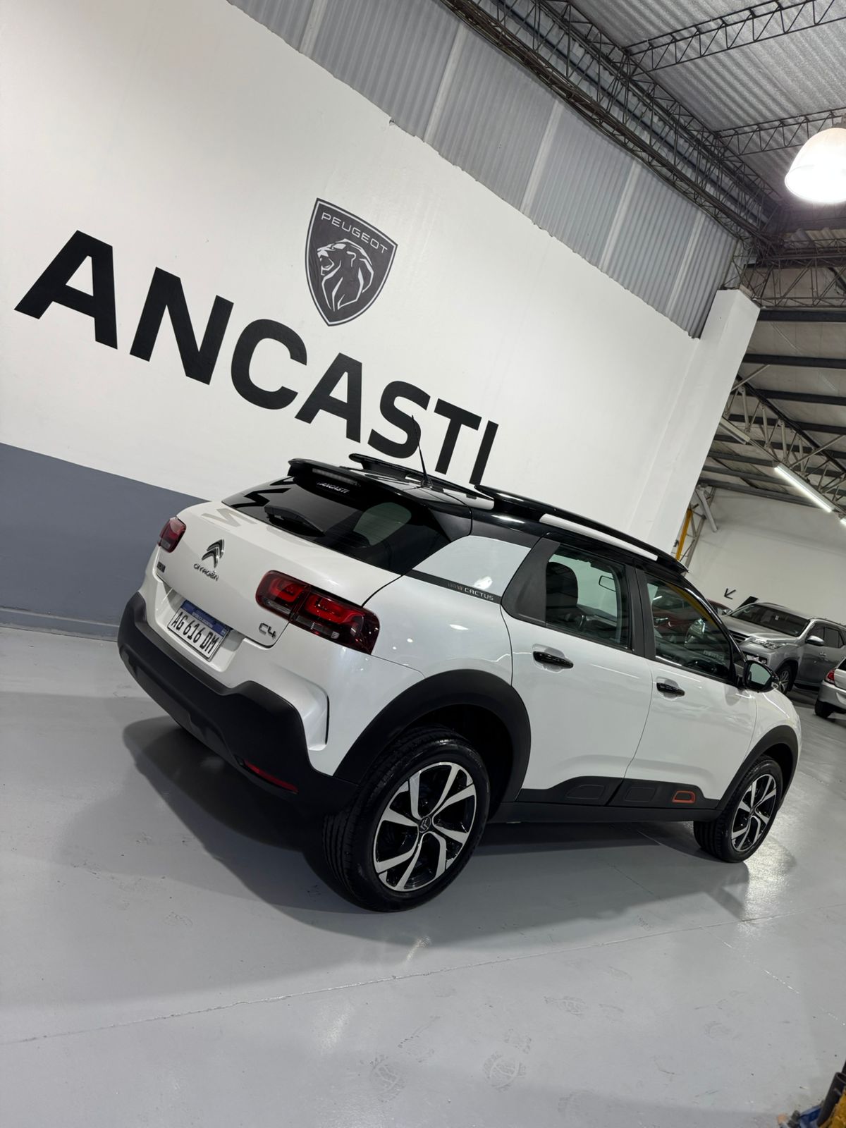 C4 CACTUS VTI AT FEEL + MY23  (VENDIDO)