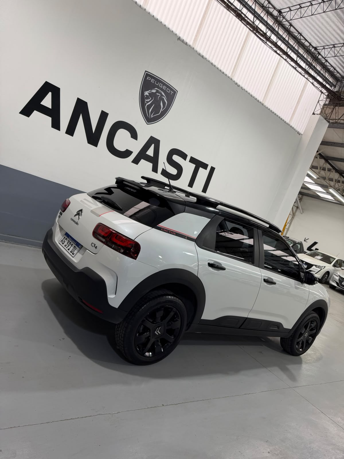 C4 CACTUS THP AT NOIR (VENDIDO)