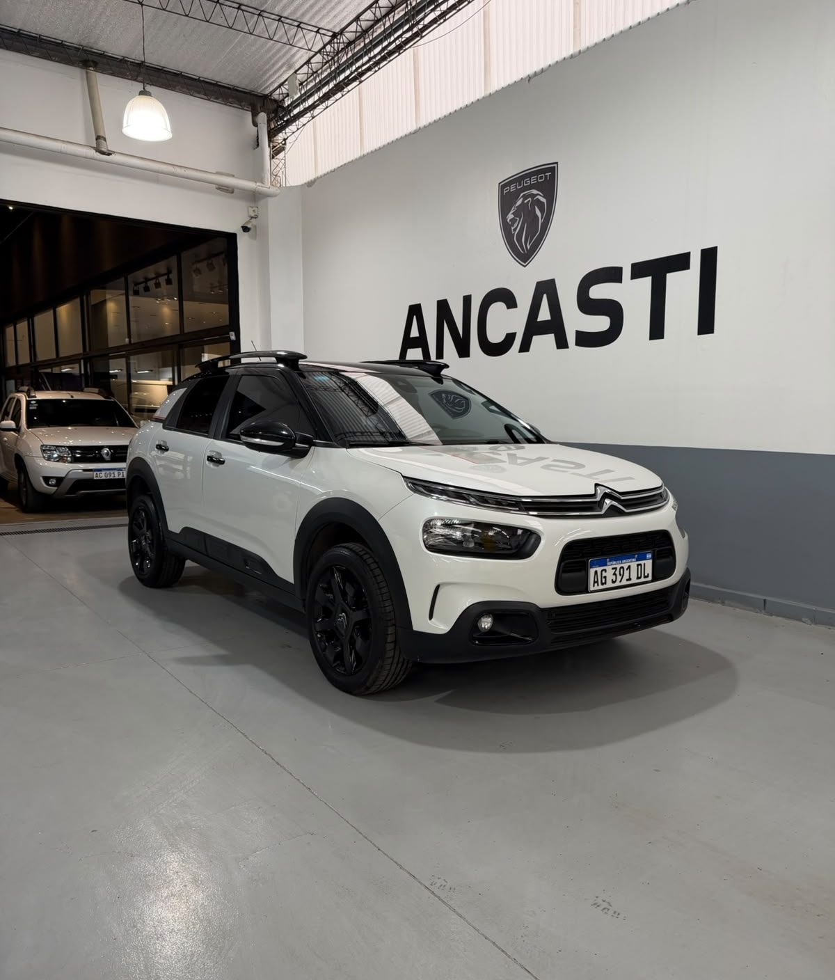 C4 CACTUS THP AT NOIR (VENDIDO)