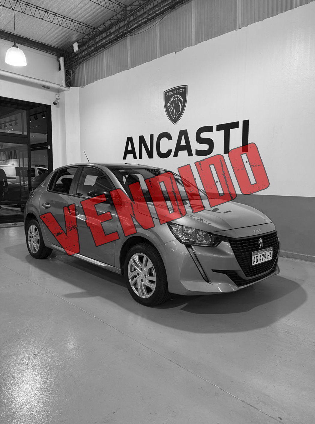 208 ACTIVE PK AM24.5 (VENDIDO)