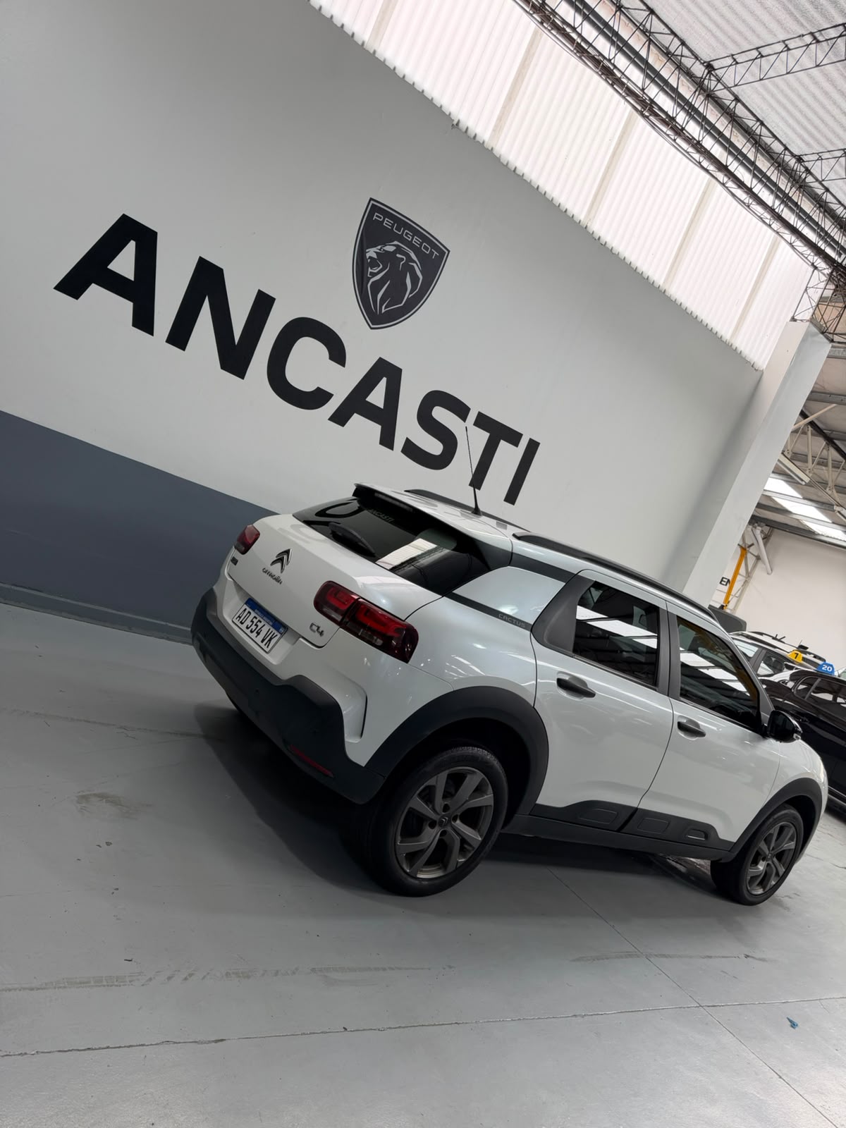 C4 CACTUS VTI 115 FEEL
